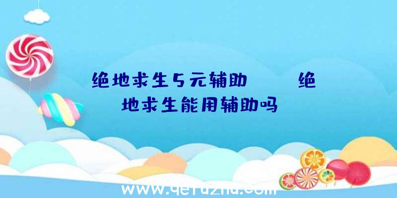 「绝地求生5元辅助」|ios绝地求生能用辅助吗